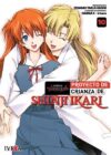 Evangelion: Proyecto De Crianza De Shinji Ikari 10 (Nueva Edicion) | Ivrea Argentina