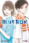 bluebox01.jpg Blue Box 01 | Ivrea Argentina