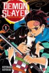 Demon Slayer - Kimetsu No Yaiba 01 | Ivrea Argentina