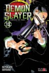 Demon Slayer - Kimetsu No Yaiba 13 | Ivrea Argentina
