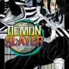 Demon Slayer - Kimetsu No Yaiba (Colección  Serie Completa 23 Tomos) | Ivrea Argentina