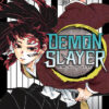 Demon Slayer - Kimetsu No Yaiba (Colección  Serie Completa 23 Tomos) | Ivrea Argentina