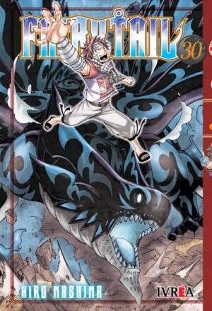 FAIRY TAIL 30
