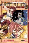 fairytail47.jpg Fairy Tail 47 | Ivrea Argentina