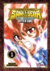 saintseiyanextdimension01.jpg Saint Seiya Next Dimension 01 (Nueva Edicion) | Ivrea Argentina