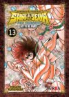 saintseiyanextdimension13.jpg Saint Seiya Next Dimension 13 (Nueva Edicion) | Ivrea Argentina