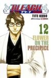 Bleach 12 | Panini México