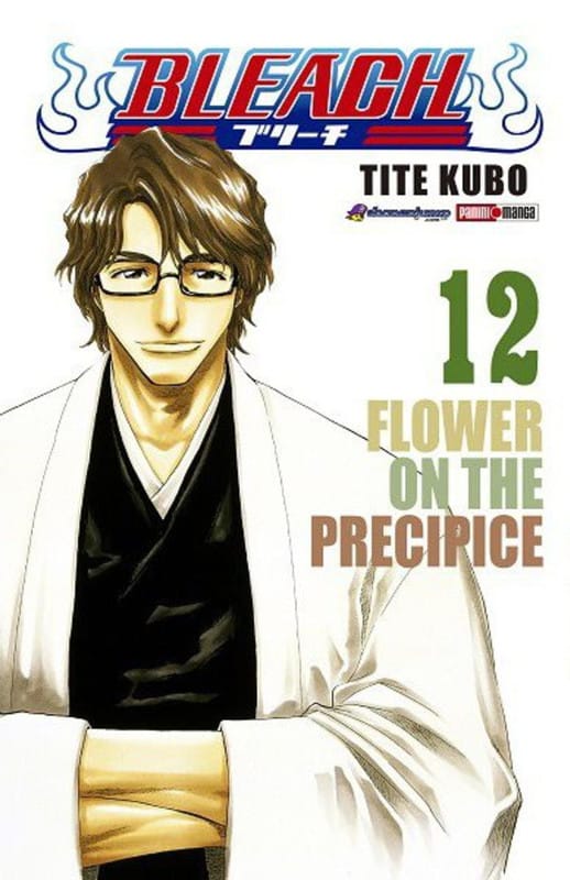 Bleach 12 | Panini México
