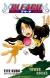 Bleach 14 | Panini México