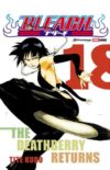 Bleach 18 | Panini México