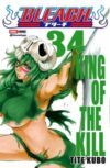 Bleach 34 | Panini México