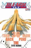 Bleach 36 | Panini México