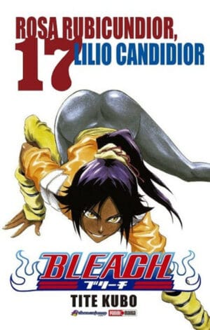 BLEACH-N-17.jpg BLEACH N.17 | Panini México