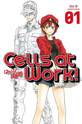 Cells at Work 01 | Utopia Manga