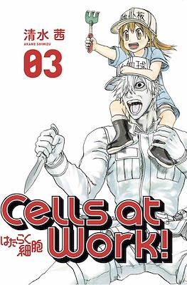 Cells at Work 03 | Utopia Manga