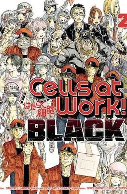 Cells-at-work-Code-Black2.jpg Cells at Work Black 02 | Utopia Manga