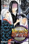DEMON-SLAYER16.jpg DEMON SLAYER N.16 | Panini México