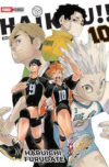 HAIKYU!! (3 IN 1) N.10 | Panini México