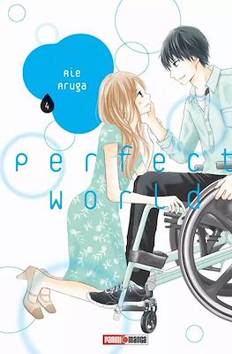 PERFECT WORLD N.04 | Panini México