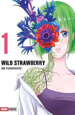 WILD STRAWBERRY N.01 | Panini México