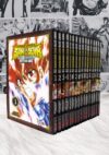 Saint Seiya Next Dimension  (Colección Serie Completa - 16 Tomos)| Ivrea Argentina