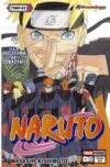 Naruto 41 | Panini México