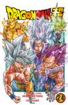 Dragon Ball Super 24 | Planeta España