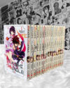 Ayakashi Triangle (Colección Completa - 16 Tomos) | Ivrea Argentina