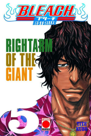 Bleach Bestseller 05 | Panini España